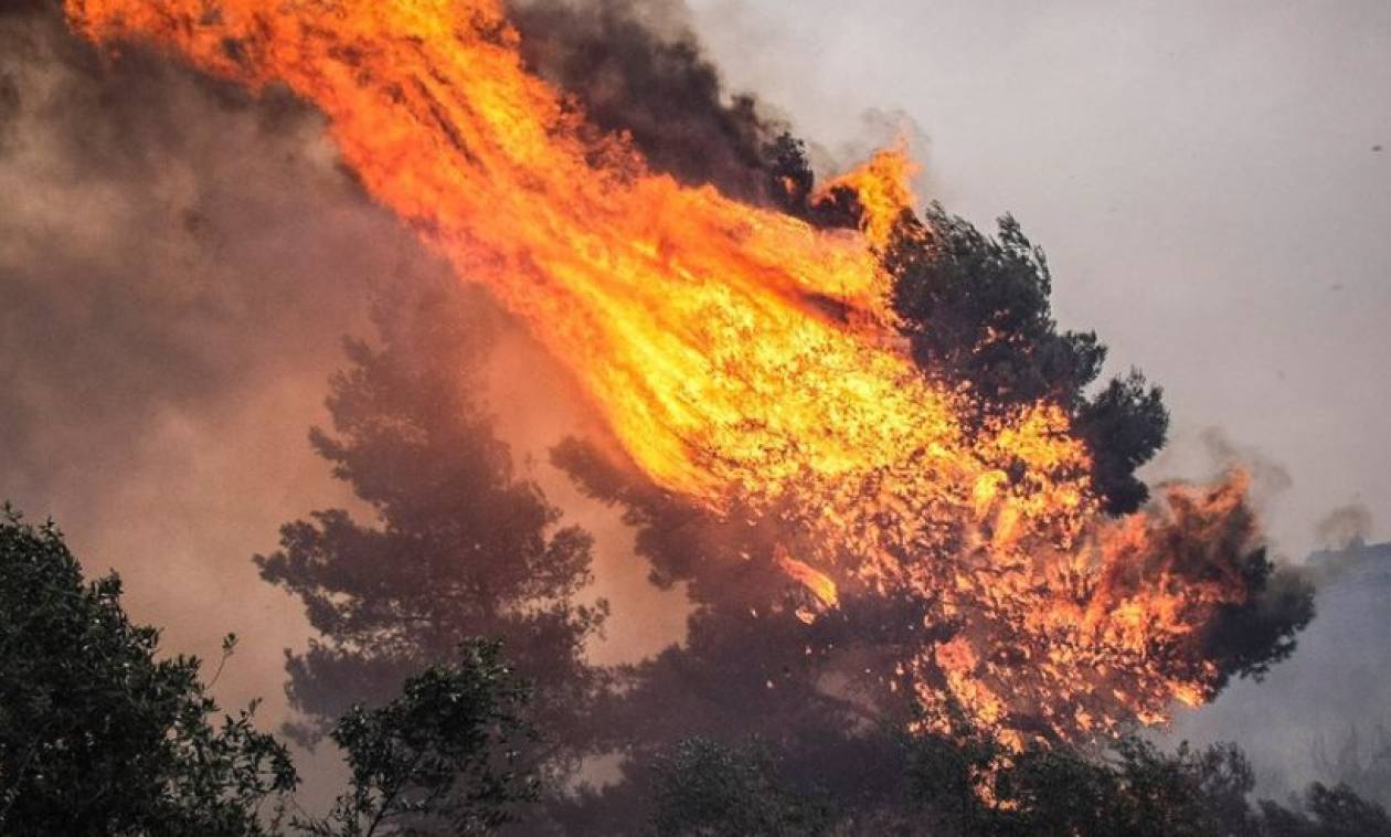 Πολύ υψηλός ο κίνδυνος πυρκαγιάς για αύριο – Δείτε σε ποιες περιοχές (φωτο)
