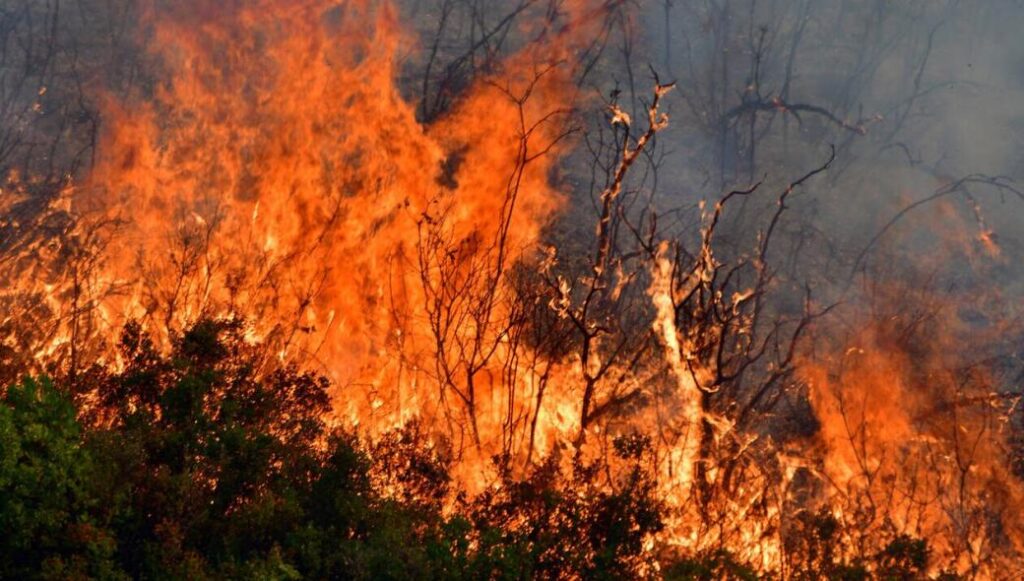 Πάνω από 1.500 πυρκαγιές εκδηλώθηκαν τον Αύγουστο – Λιγότερες οι καμένες εκτάσεις από πέρσι