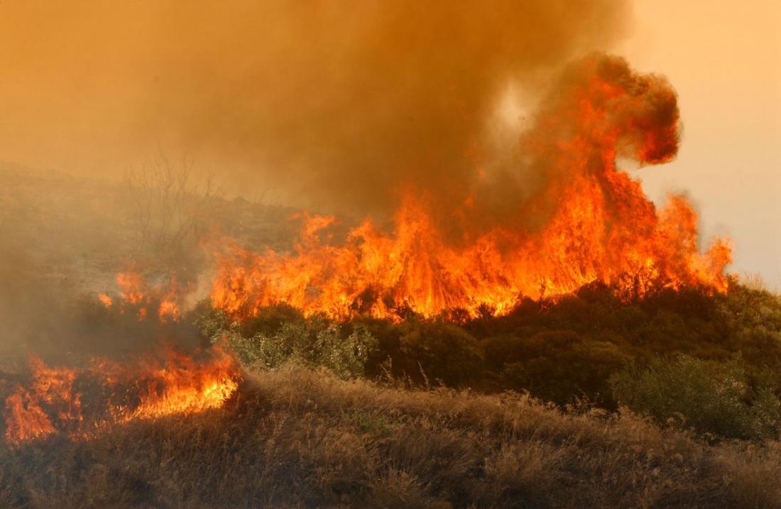 Φωτιά ξέσπασε στην Ηλεία (φωτό)