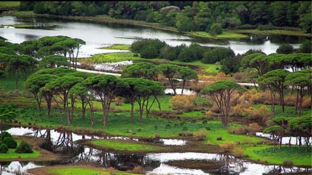 Εθνικό Πάρκο Κοτυχίου – Στροφυλίας: Λαθροθήρας άνοιξε πυρ εναντίον μέλους οικολογικής οργάνωσης