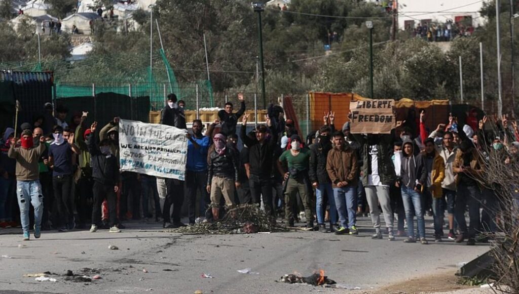 Μόρια: Εικόνες καταστροφής από τους αλλοδαπούς – Χιλιάδες ελαιόδεντρα κομμένα – Αποψιλώνουν ολόκληρες εκτάσεις