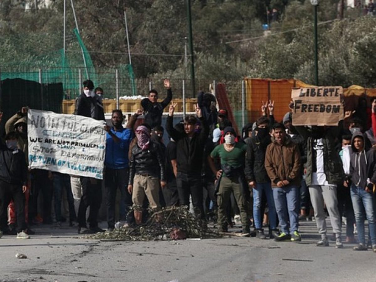 Κάτοικος Μόριας για τις αρπαγές κατοικίδιων από αλλοδαπούς: «Παίρνουμε το βράδυ τα σκυλιά μέσα στο σπίτι μας…»!