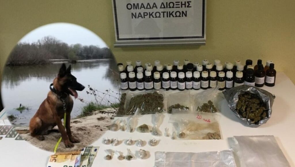 Βέροια: Ο «Booker» «ξεσκέπασε» διακινητή ναρκωτικών – «Μύρισε» ηρωίνη, χασίς, μεθαδόνη και χάπια