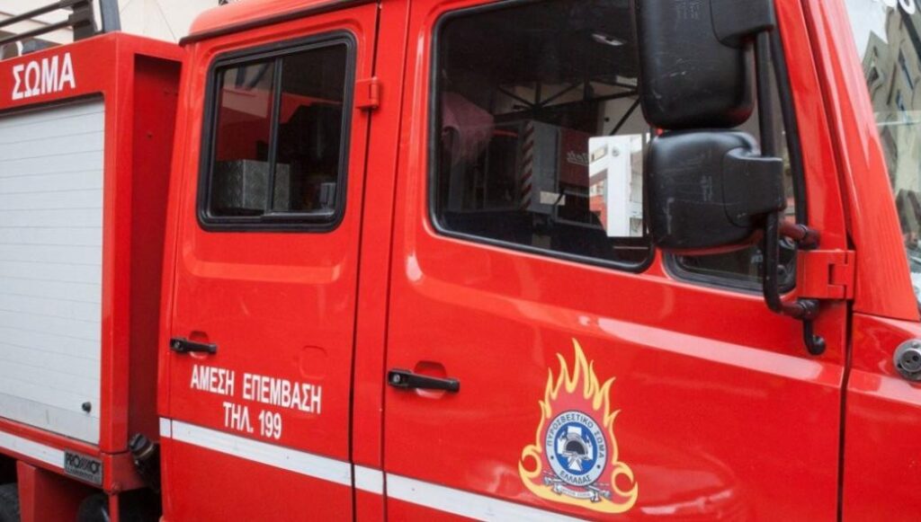 Λαμία: Η έγκαιρη επέμβαση της Πυροσβεστικής έσωσε ένα λυκόσκυλο από βέβαιο θάνατο (φώτο)