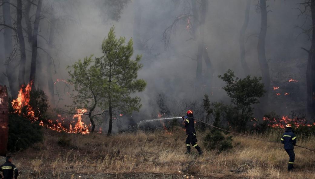 Μεγάλη φωτιά ξέσπασε σε δάσος στην Κάρυστο – Επιχειρούν 47 πυροσβέστες με 15 οχήματα (upd)