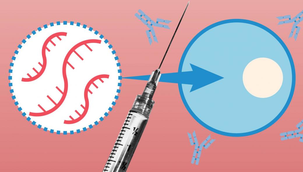 Πρώην επικεφαλής σύμβουλος Pfizer: Τα εμβόλια mRNA μπορεί να οδηγήσουν σε γυναικεία στειρότητα