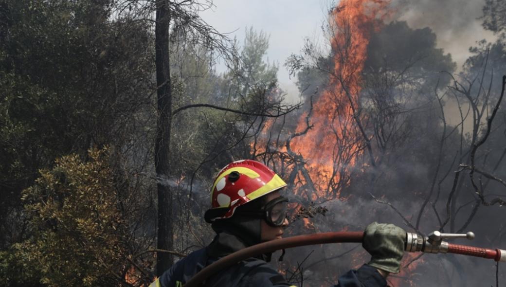 Αδιανόητο: Άφησαν την φωτιά να προελάσει 40 χλμ. χωρίς να κάνουν αντιπυρικές ζώνες