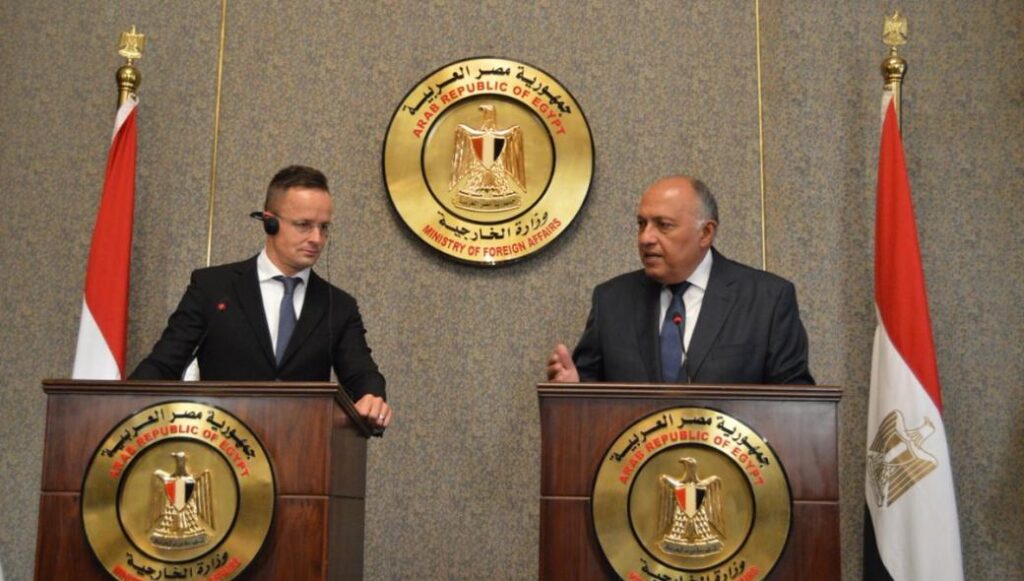 Το Κάιρο ζήτησε πάλι την αποχώρηση όλων των ξένων μισθοφόρων από την Λιβύη