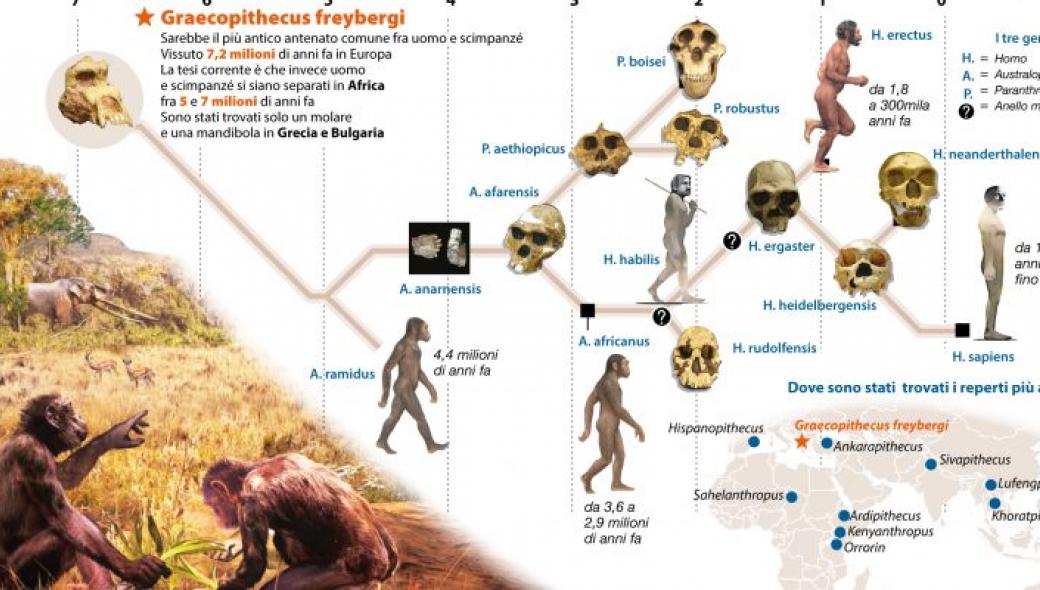 Τελικά οι πρώτοι άνθρωποι περπάτησαν στην Ελλάδα πριν 6 εκατ. χρόνια