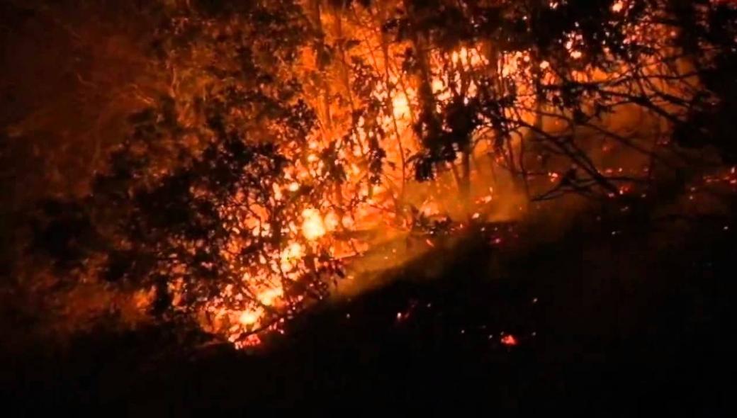Συρία: Εκτελέστηκαν 24 άτομα υπεύθυνα για εμπρησμούς σε δάση και καταστροφικές πυρκαγιές
