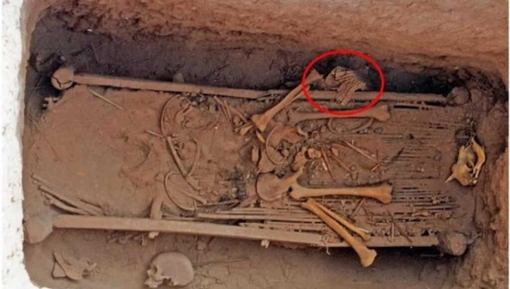 Κίνα: Βρέθηκε εξελιγμένη πανοπλία του 2.700 π.Χ. – Φτιαγμένη από 5.000 κομμάτια!