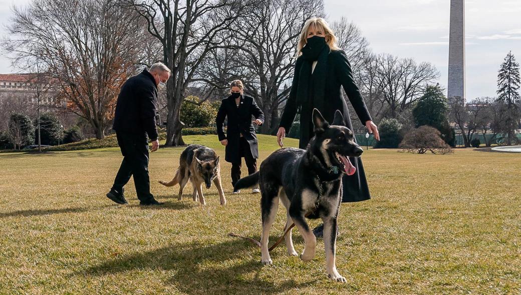 Οι σκύλοι των ηγετών: Συγκριτικό Ρωσία – ΗΠΑ