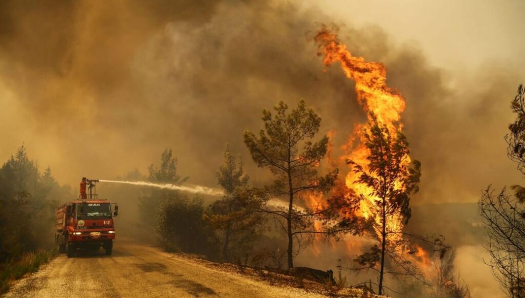 Το ακούσαμε και αυτό – Οι Τούρκοι μας κατηγορούν για τις φωτιές στα δάση τους!