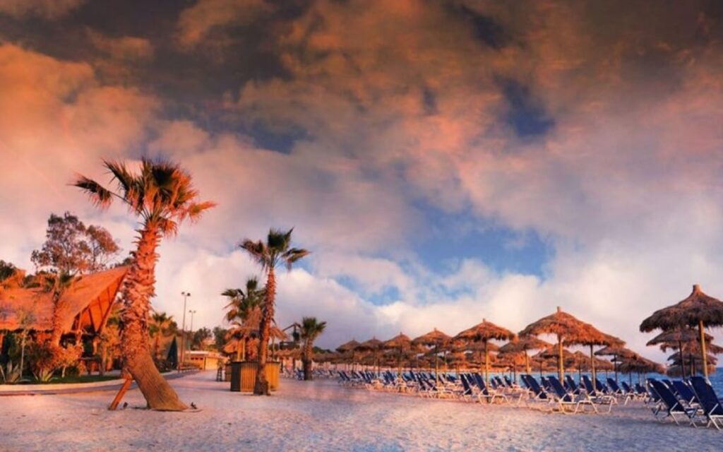 Σύρος επιτέθηκε σε Ισραηλινό τουρίστα σε παραλία στον Άλιμο: Τον δάγκωσε και του έκοψε το αυτί!