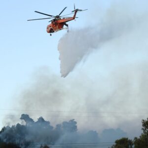 Αχαΐα: Φωτιά σε δασική έκταση στην περιοχή Μιτζαίικα – Επιχειρούν και εναέρια μέσα