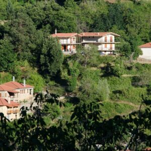 Μαρκόπουλο: «Ήθελα να κάψω έγγραφα που σχετίζονται με το σκάνδαλο Σινά» λέει ο ιερέας που συνελήφθη για εμπρησμό