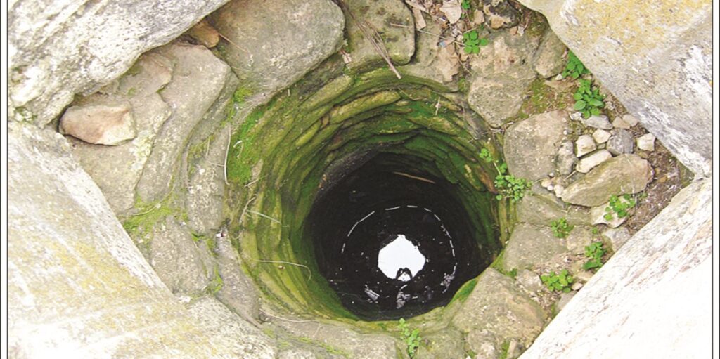 Λάρισα: Πυροσβέστες έσωσαν σκύλο που έπεσε σε πηγάδι βάθους 7 μέτρων