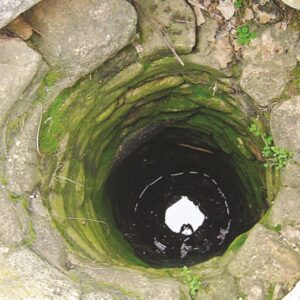 Λάρισα: Πυροσβέστες έσωσαν σκύλο που έπεσε σε πηγάδι βάθους 7 μέτρων