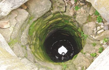 Λάρισα: Πυροσβέστες έσωσαν σκύλο που έπεσε σε πηγάδι βάθους 7 μέτρων