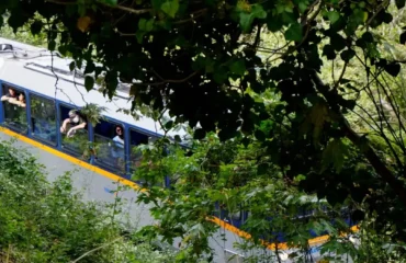 Καλάβρυτα: Διακόπηκαν τα δρομολόγια του Οδοντωτού λόγω πτώσης δέντρου στις ράγες