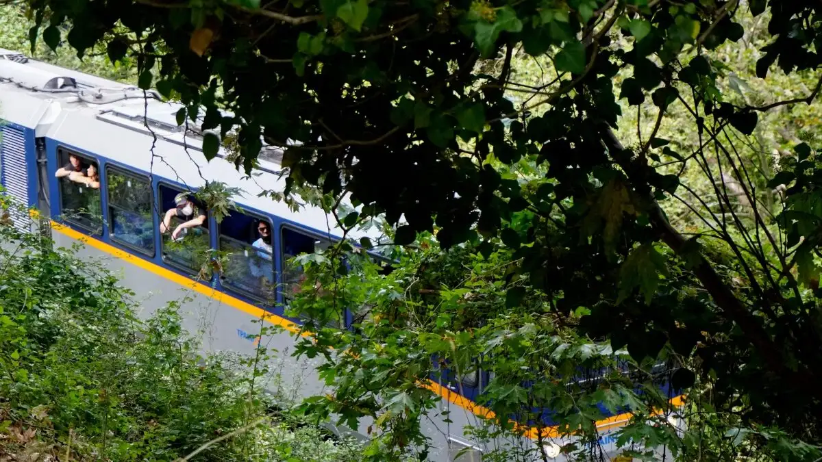 Καλάβρυτα: Διακόπηκαν τα δρομολόγια του Οδοντωτού λόγω πτώσης δέντρου στις ράγες