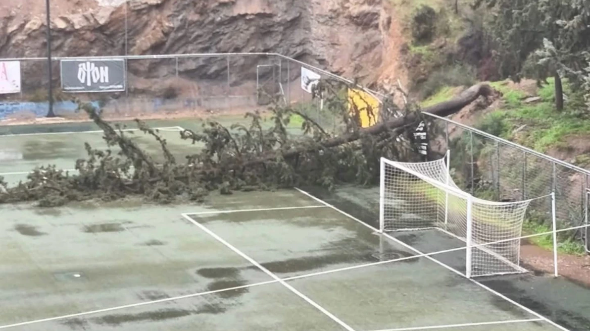Έπεσαν δέντρα σε γήπεδο ποδοσφαίρου στην Ηλιούπολη