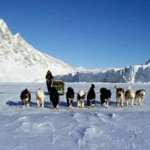 Οι δυνάμεις των χωρών γύρω από την Αρκτική – Η μισή ανήκει στην Ρωσία