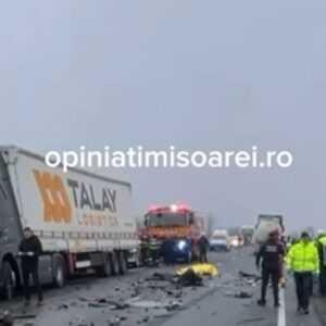 Τροχαίο δυστύχημα με οπαδούς του ΠΑΟΚ στη Ρουμανία: Τα πιθανά σενάρια πίσω από την τραγωδία