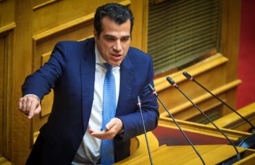 Θ.Πλεύρης για παράνομους μετανάστες: «Ότι ευκαιρία ήταν να δώσει η πολιτεία την έδωσε»