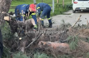 Ισχυροί άνεμοι στη Λαμία: Δέντρο έπεσε πάνω σε οχήματα (βίντεο)