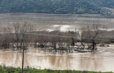 Υπερχείλισε ο Πηνειός έξω από τη Λάρισα – Πλημμύρισαν αγροτικές εκτάσεις (βίντεο)