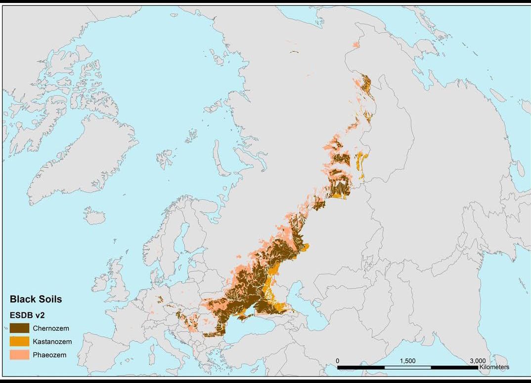 Ο πόλεμος στην Ουκρανία γίνεται και για τον έλεγχο της τροφής: Η Ρωσία κατέχει πλέον την περισσότερη «μαύρη γη»