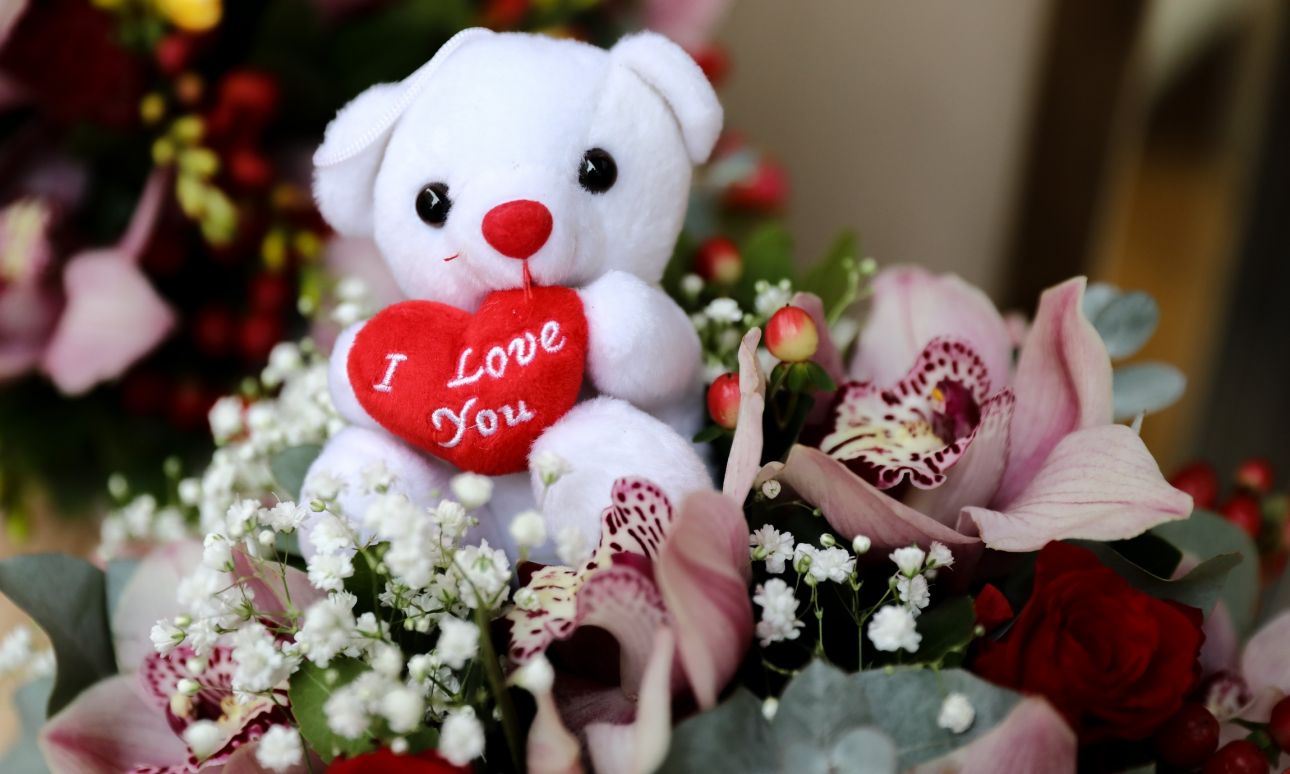 Κλοπή με… άρωμα Αγίου Βαλεντίνου στη Θεσσαλονίκη: Άρπαξαν λούτρινα αρκουδάκια από ανθοπωλείο (βίντεο)