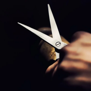 Ηλεία: Συνελήφθη γυναίκα που κάρφωσε ψαλίδι στον ώμο του συντρόφου της