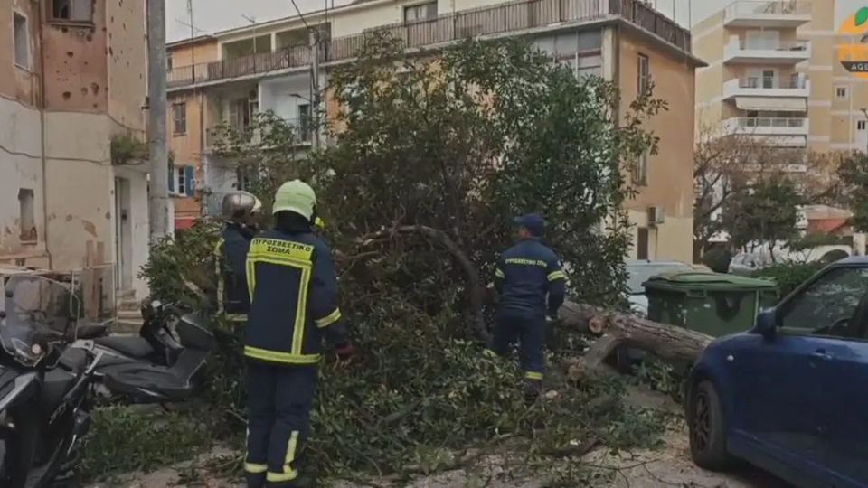 Οι ισχυροί άνεμοι «σαρώνουν» την Αττική – Πτώσεις δέντρων σε αρκετές περιοχές