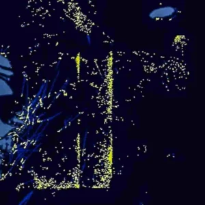 Η Κίνα «πιέζει» την Ιαπωνία: Πάνω από 2.000 κινεζικά πλοία κοντά στις ιαπωνικές θάλασσες – Οι εικόνες από δορυφόρο