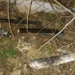 Κ.Κυρανάκης: «Κάποιοι ήθελαν νέα Τέμπη – Έκοψαν τα καλώδια και έσπασαν τα τσιμέντα στο Πλατύ» (βίντεο)