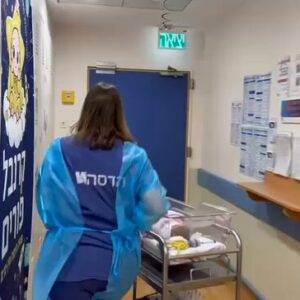 Bίντεο: Η στιγμή που μεταφέρουν τα νεογνά στα καταφύγια