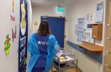 Bίντεο: Η στιγμή που μεταφέρουν τα νεογνά στα καταφύγια