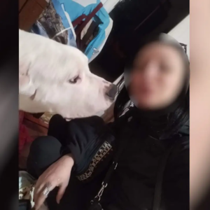 Θάνατος εγκύου στον Κολωνό – Γειτόνισσα ζευγαριού: «Ο 38χρονος της φώναζε “ψόφα σαν σκυλί”»