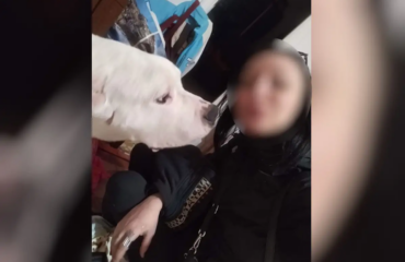 Θάνατος εγκύου στον Κολωνό – Γειτόνισσα ζευγαριού: «Ο 38χρονος της φώναζε “ψόφα σαν σκυλί”»