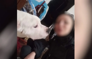 Νεκρή στη σκάλα του σπιτιού της βρέθηκε η 30χρονη έγκυος στον Κολωνό – Τα ευρήματα του ιατροδικαστή και οι μώλωπες