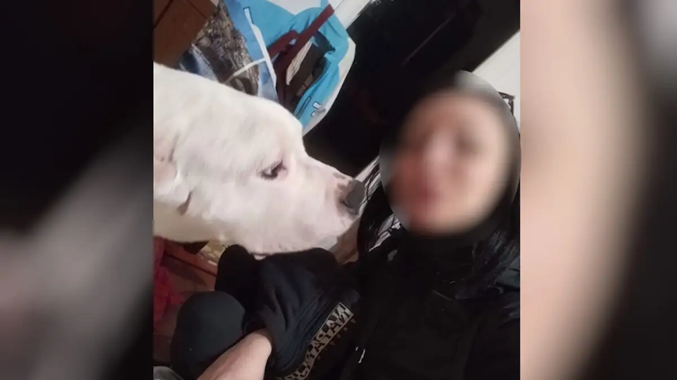 Νεκρή στη σκάλα του σπιτιού της βρέθηκε η 30χρονη έγκυος στον Κολωνό – Τα ευρήματα του ιατροδικαστή και οι μώλωπες