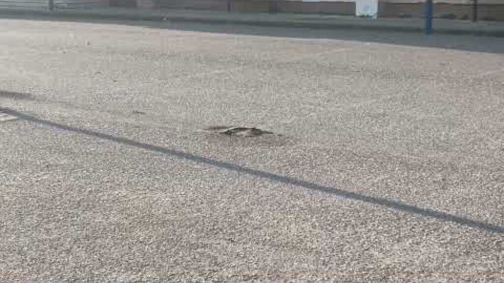 Έριξαν μολότοφ σε προαύλιο σχολείου στην Θεσσαλονίκη και μετά εξαφανίστηκαν (βίντεο)