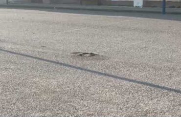 Έριξαν μολότοφ σε προαύλιο σχολείου στην Θεσσαλονίκη και μετά εξαφανίστηκαν (βίντεο)