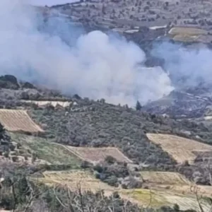 Σοφιανά Κορινθίας: Μεγάλη φωτιά σε δασική έκταση – Άμεση κινητοποίηση της Πυροσβεστικής