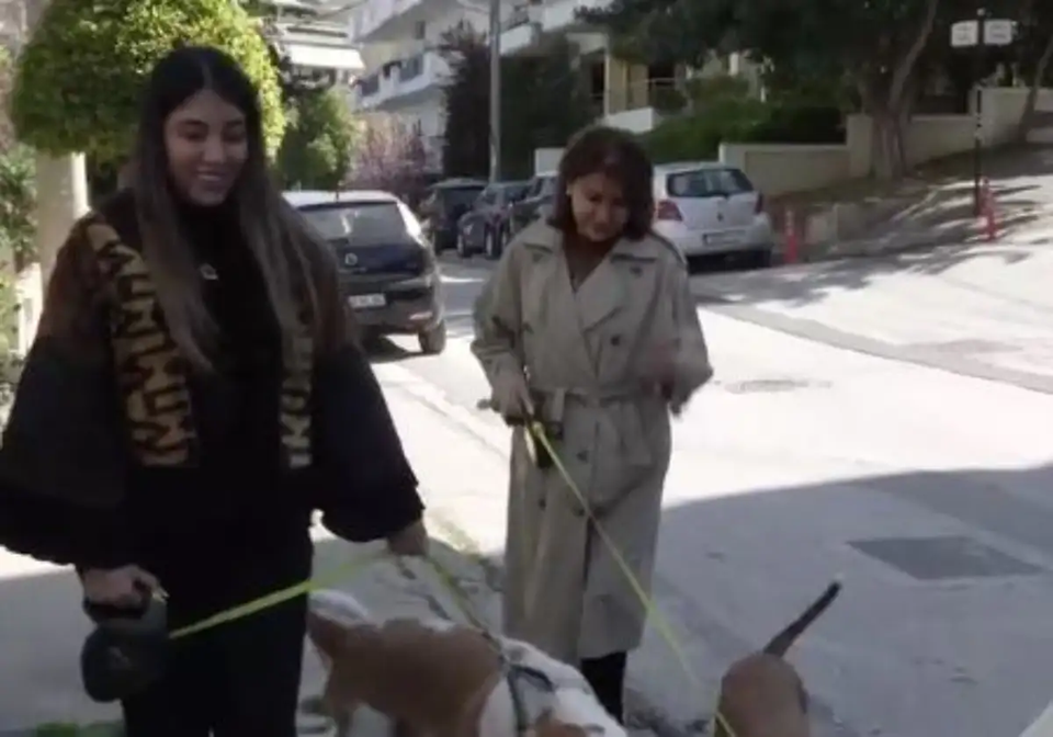 Ιρανή που μένει στην Ελλάδα: «Στο Ιράν απαγορεύονται τα σκυλιά γιατί θεωρούνται βρόμικα» (βίντεο)