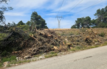 Από την 1η Απριλίου ξεκινά η προθεσμία για τον καθαρισμό των οικοπέδων – «Τσουχτερά» τα πρόστιμα