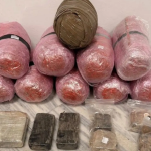 Συνελήφθη 39χρονο αλλοδαπός για κατοχή και διακίνηση ναρκωτικών: Τα εντόπισε ο αστυνομικός σκύλος «Vektor»