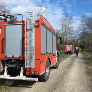 Νεκρός 68χρονος στη Λαμία: Καταπλακώθηκε από δέντρο μπροστά στα μάτια της γυναίκας του